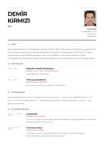 Pilot CV Örnekleri cv indir